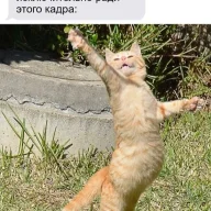 kap
