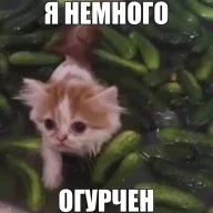 люблю пиццу