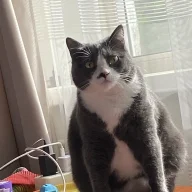 katekate6