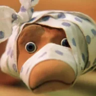 babushka_udava