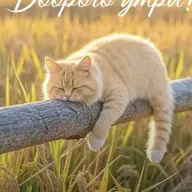 Ольга75533