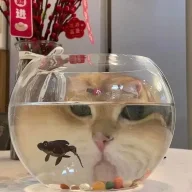 очередной злостный плательщик