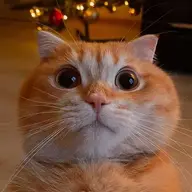 kiiiop