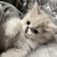 ⠀⠀