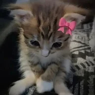 Tina-Sima