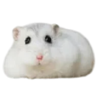 tuturuTun