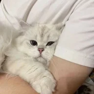 Екатерина27