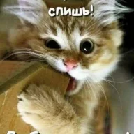 Олька86