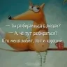 tktyfz