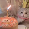 оаоаоа