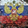 Димон волков