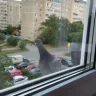ПриветсСевера