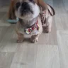 2wohka