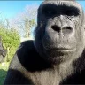 фывфывфыв