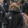 Sarkazm