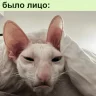 Твори Добро🙌🏻