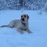 виталий1998