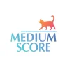 Поддержка MediumScore
