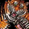 Junetiger