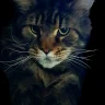 Dmitry_L