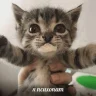 muichirosz