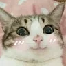 ДмитрийGg