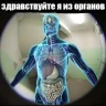Анастасия (я)