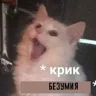 Дед