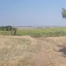 Андрей г