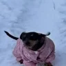 анастасися