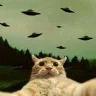 nevermoarrr