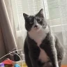 katekate6