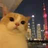 Yuseyuseyuse