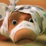 babushka_udava