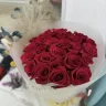 светлана111111