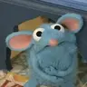 Agotada