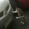 Витольд