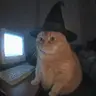 morepoke