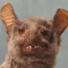 Juba