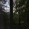 verimvhorishee