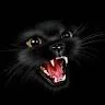 wismon.aleks