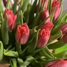 ElenaT