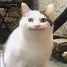 Depress1on
