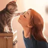 котья