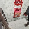 Xerbi
