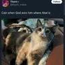 1amdegenerate
