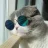 Dmitry _7
