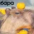 Капибара
