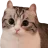blinchik94