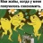 Frog23